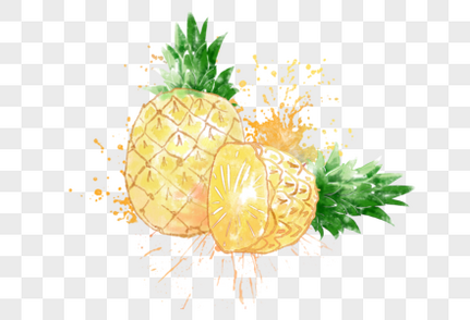 菠萝水彩手绘果蔬高清图片素材