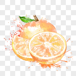 橙子水彩手绘高清图片