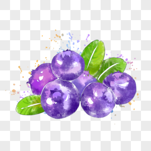 蓝莓水彩手绘水果高清图片素材