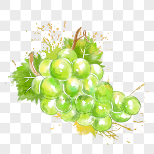 葡萄水彩手绘果蔬高清图片素材
