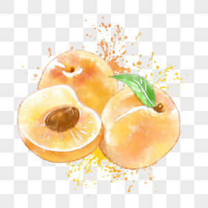 杏子水彩手绘水果高清图片素材