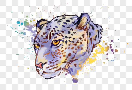 豹子水彩手绘高清图片