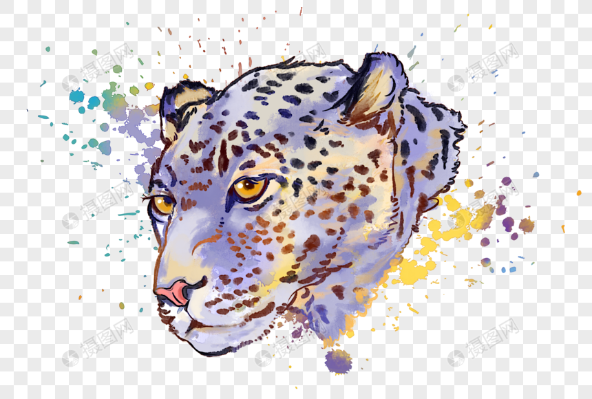 豹子水彩手绘图片
