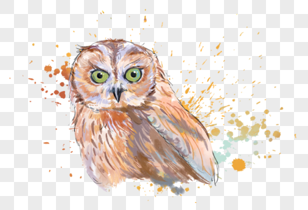 猫头鹰水彩手绘图片