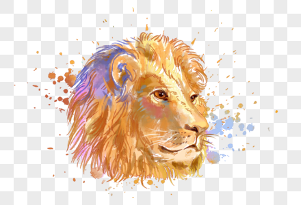 狮子水彩手绘图片