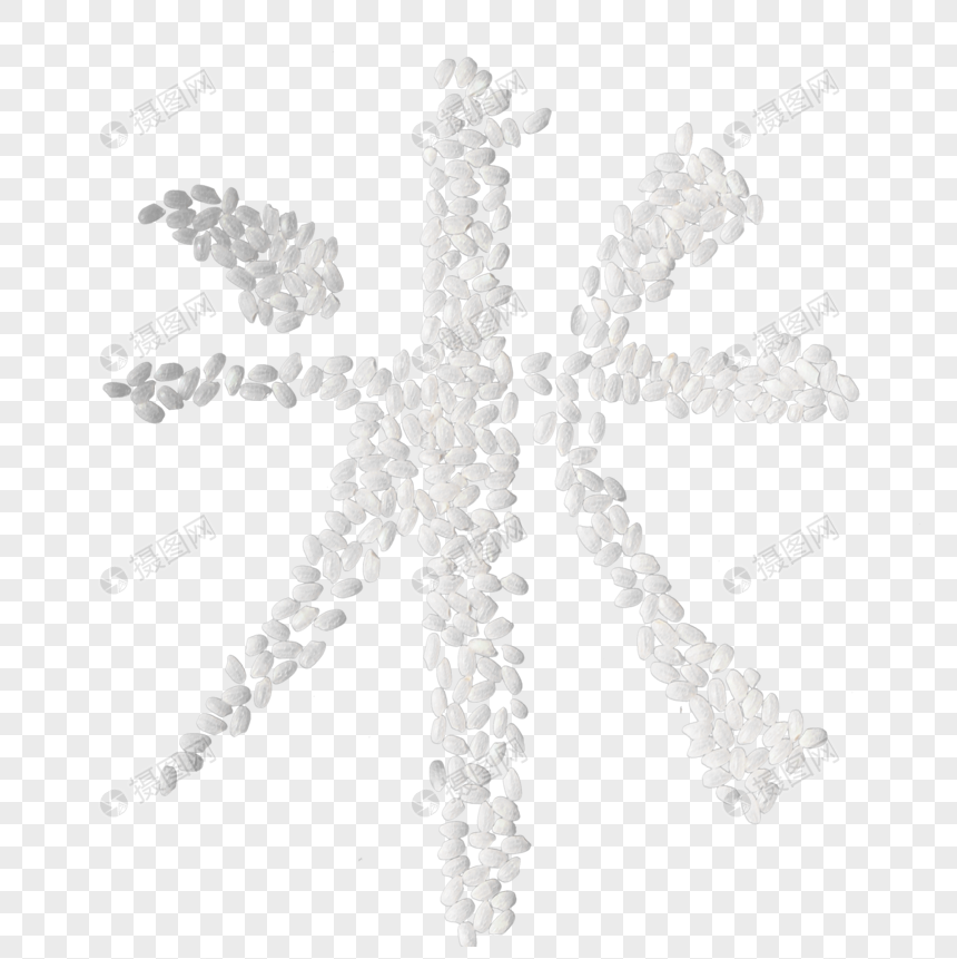 东北珍珠米
