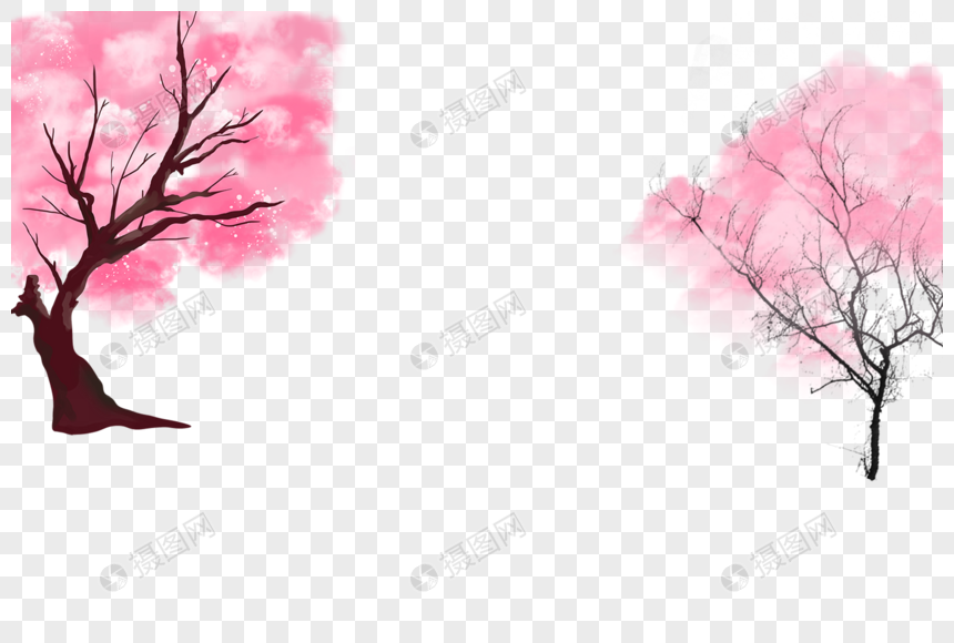 樱花树
