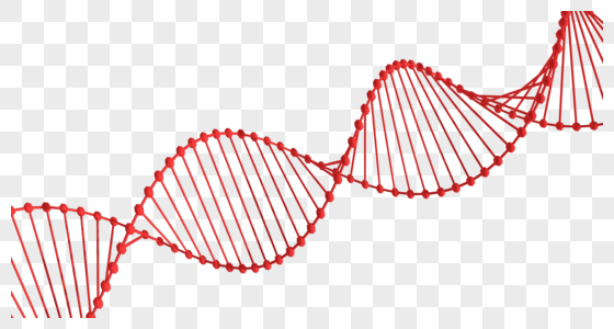 DNA双螺旋结构高清图片