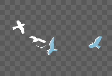 飞翔的鸽子鸽子超清素材高清图片