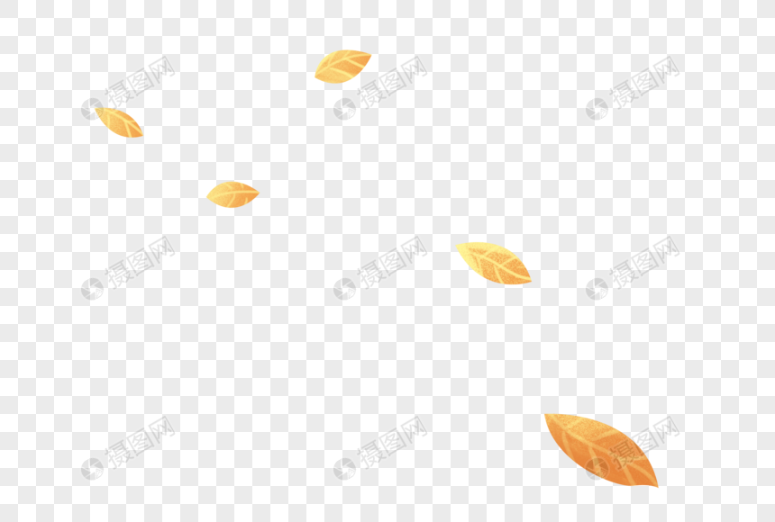 秋游的落叶图片