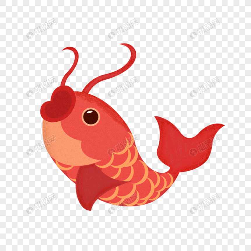 锦鲤