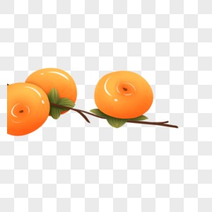秋季柿子水果图片