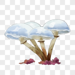 水彩白蘑菇图片