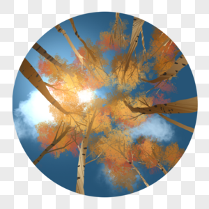 秋日树冠图片