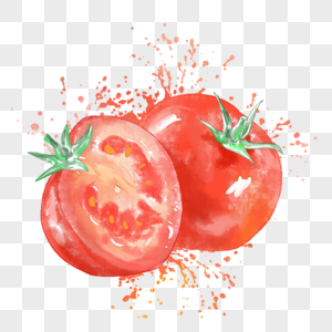 西红柿水彩西红柿喷溅高清图片
