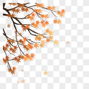 秋天的树杈图片