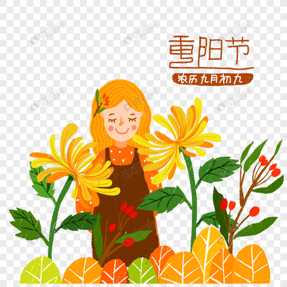 菊花茱萸重阳节图片