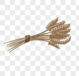 农作物小麦装饰图片