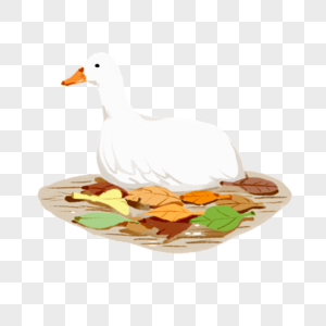 秋日水中的可爱鸭鸭高清图片