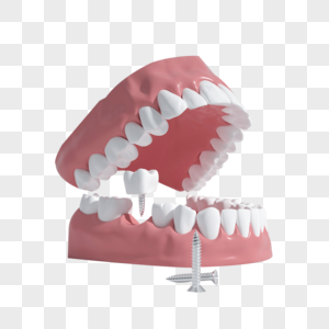 牙齿模型名厨易牙素材高清图片