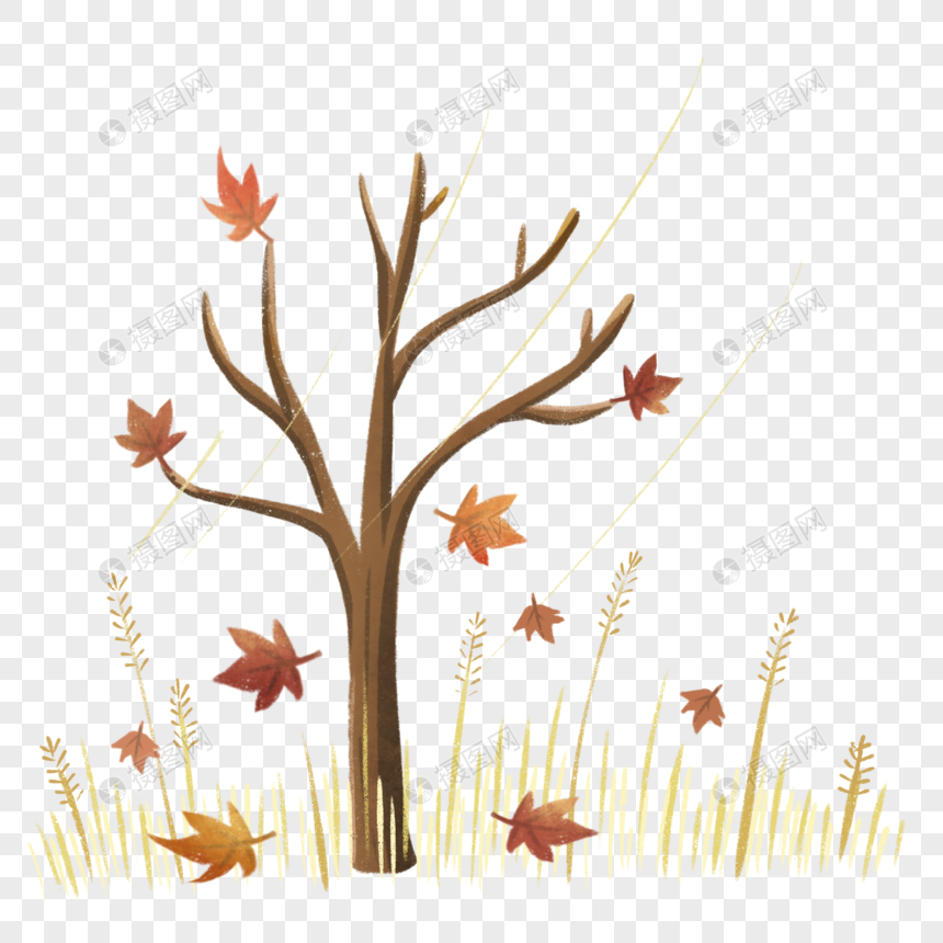 秋天落叶的树图片
