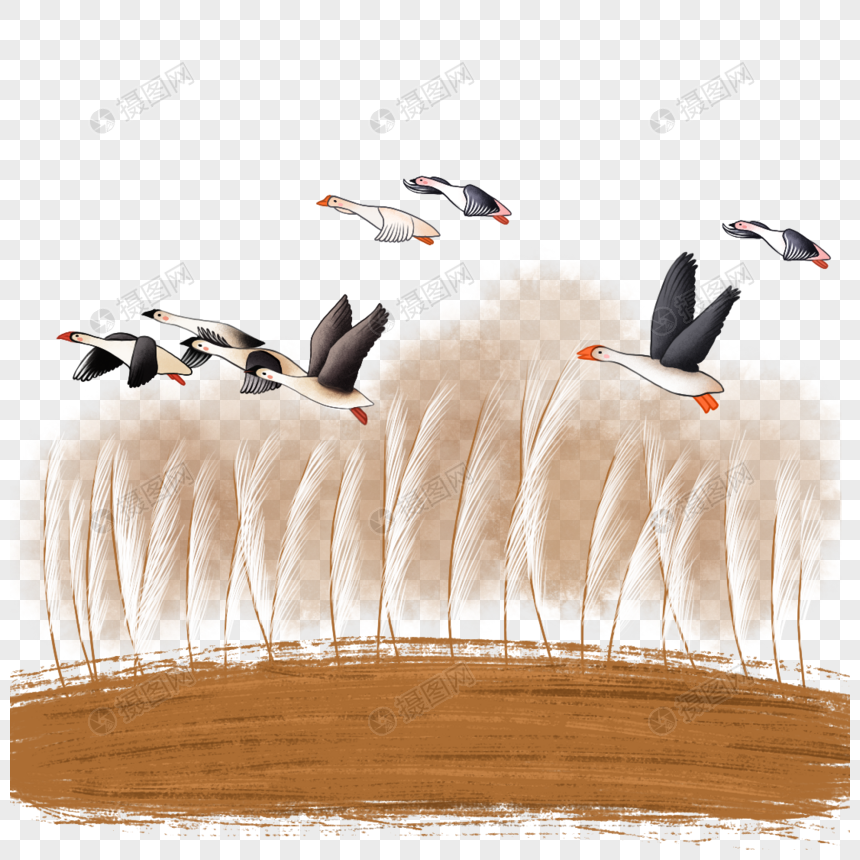 鸿雁来宾