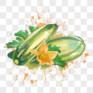 葫芦瓜水彩蔬菜葫芦瓜高清图片