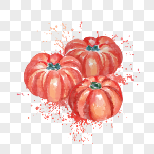 西红柿水彩番茄植物高清图片