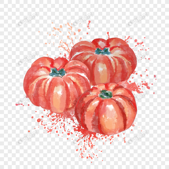 西红柿水彩图片