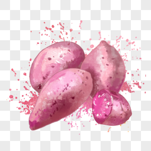 紫薯水彩红薯高清图片素材