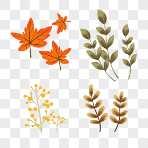 秋季的树叶图片