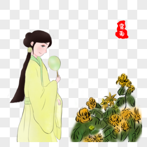 赏菊插画图片