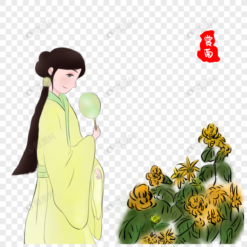 赏菊插画图片