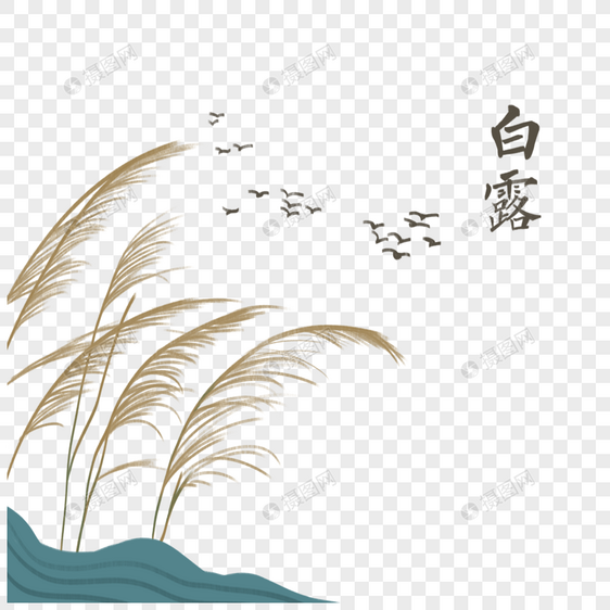 白露场景节气插画图片