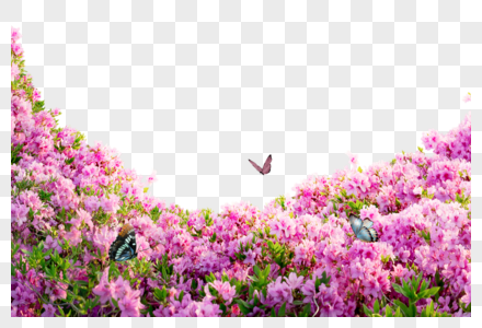 粉色花丛小草粉绿色高清图片