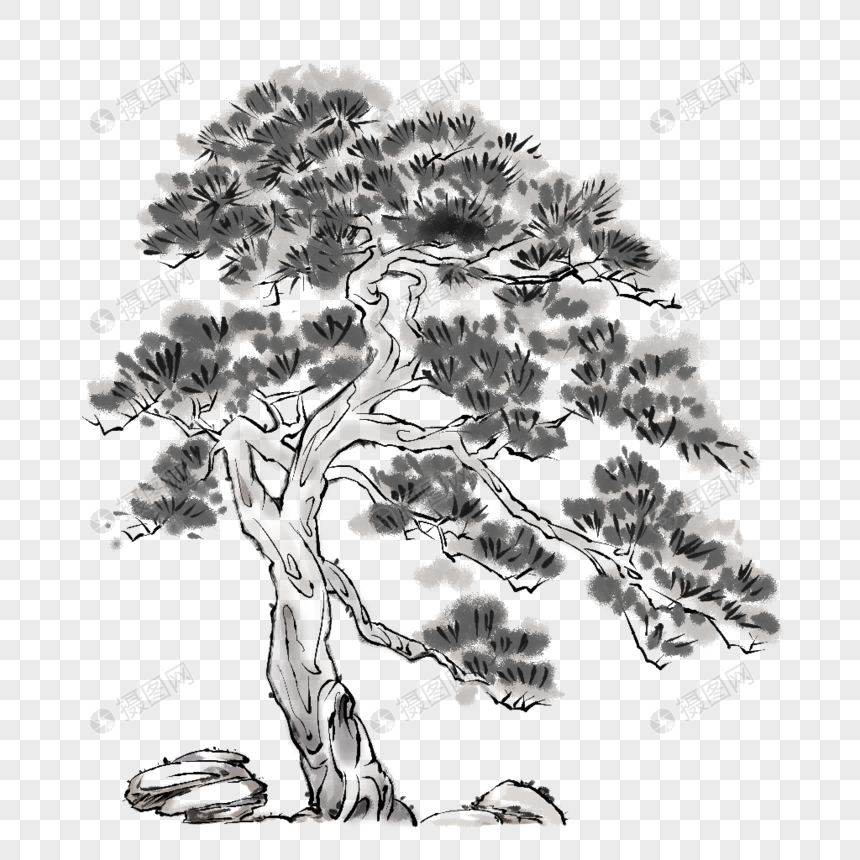 免抠元素 手绘/卡通元素 松树.