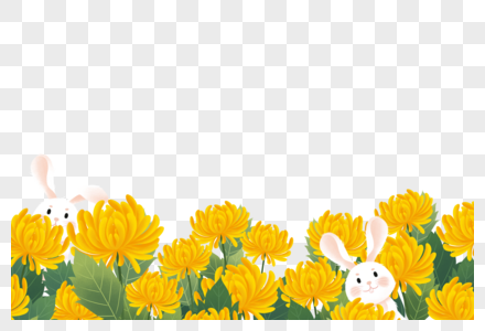菊花地里的兔子图片