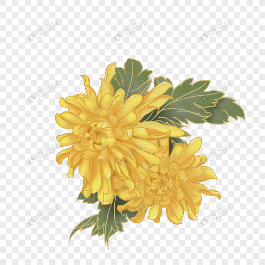 免抠元素 手绘/卡通元素 菊花元素.psd 860_860