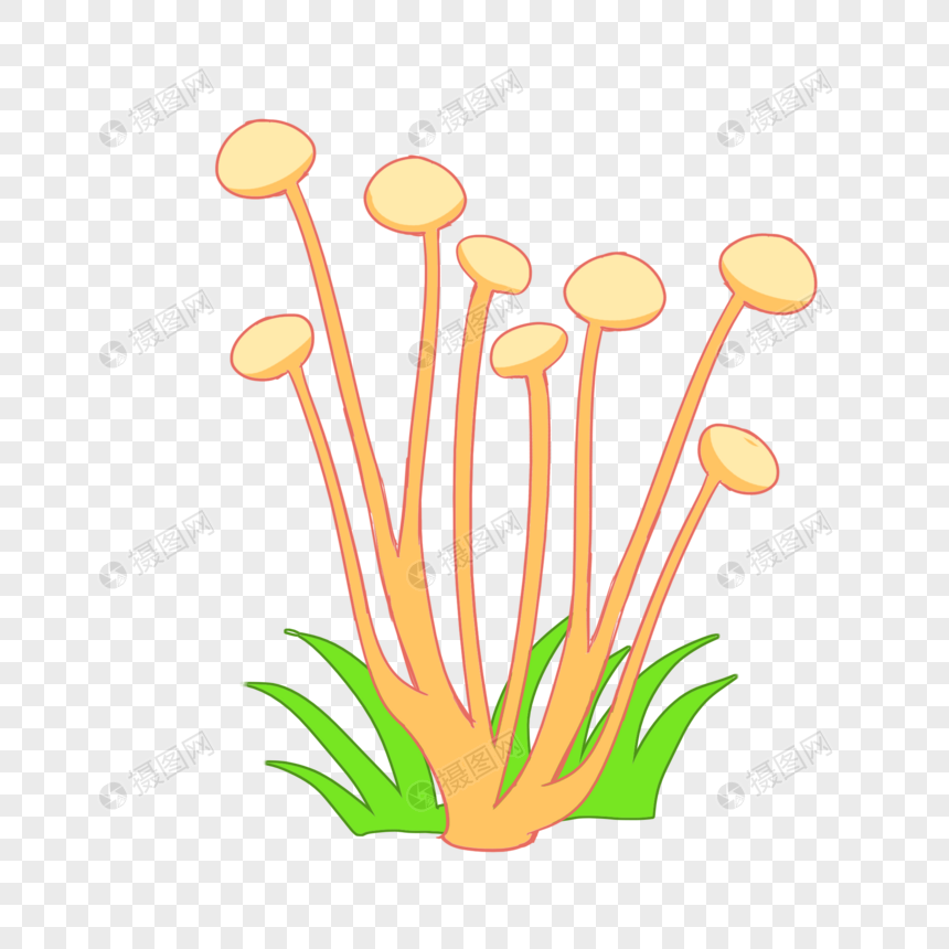 免抠元素 手绘/卡通元素 金针菇.