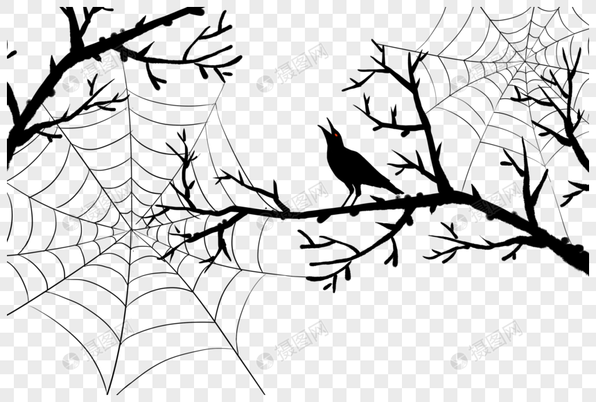 枯树上的蜘蛛网和乌鸦剪影图片