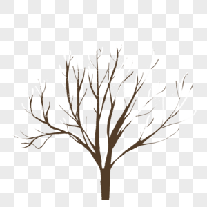 冬天的枯树图片