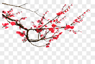 冬季梅花枝图片