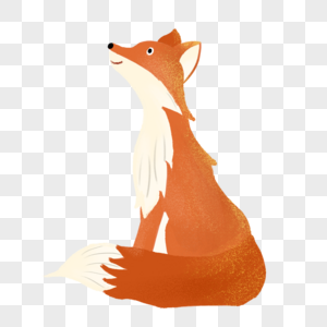 狐狸小动物高清图片素材