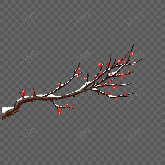 落雪的梅花树枝图片