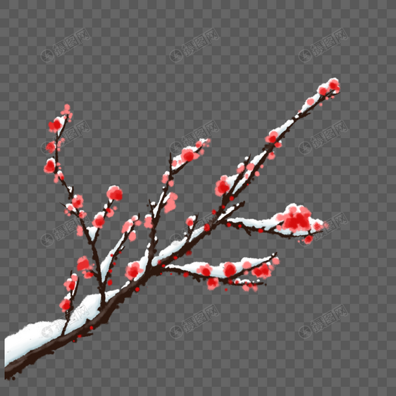红梅落雪图片