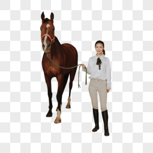 青年女性马厩牵马高清图片