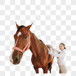 青年女性马棚刷马图片