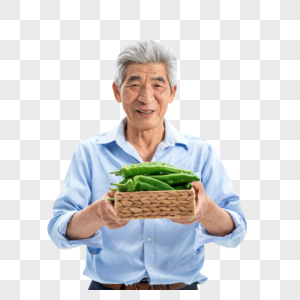 菜农展示青椒健康高清图片素材