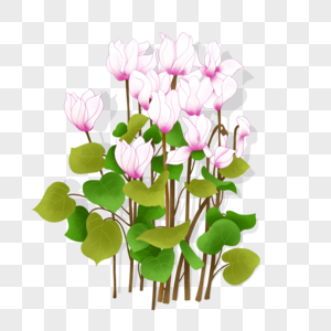 小清新卡通仙客来植物花卉高清图片