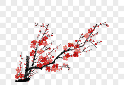 红梅梅花枝高清图片素材